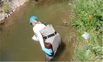 A field crew member collecting a water sample from a stream.