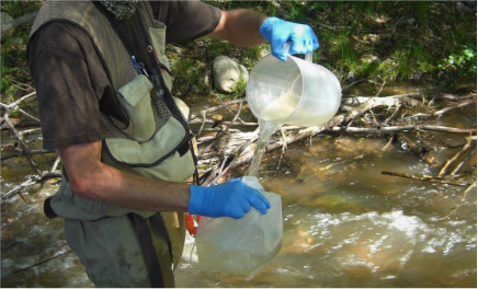A crew member in the field pouring water from a pitcher into a sampling bottle.