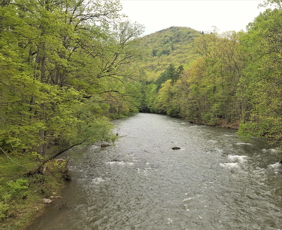 A river with green forested hills on either side.